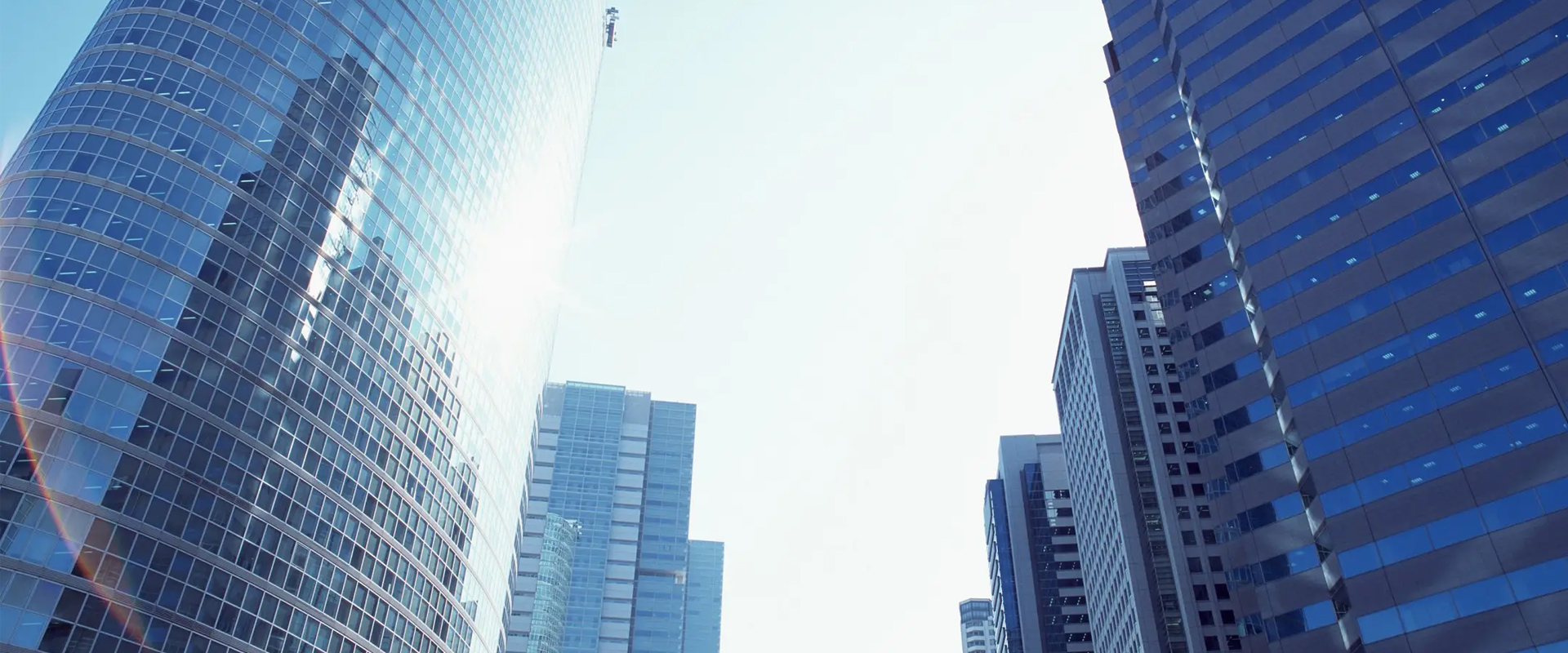 banner1